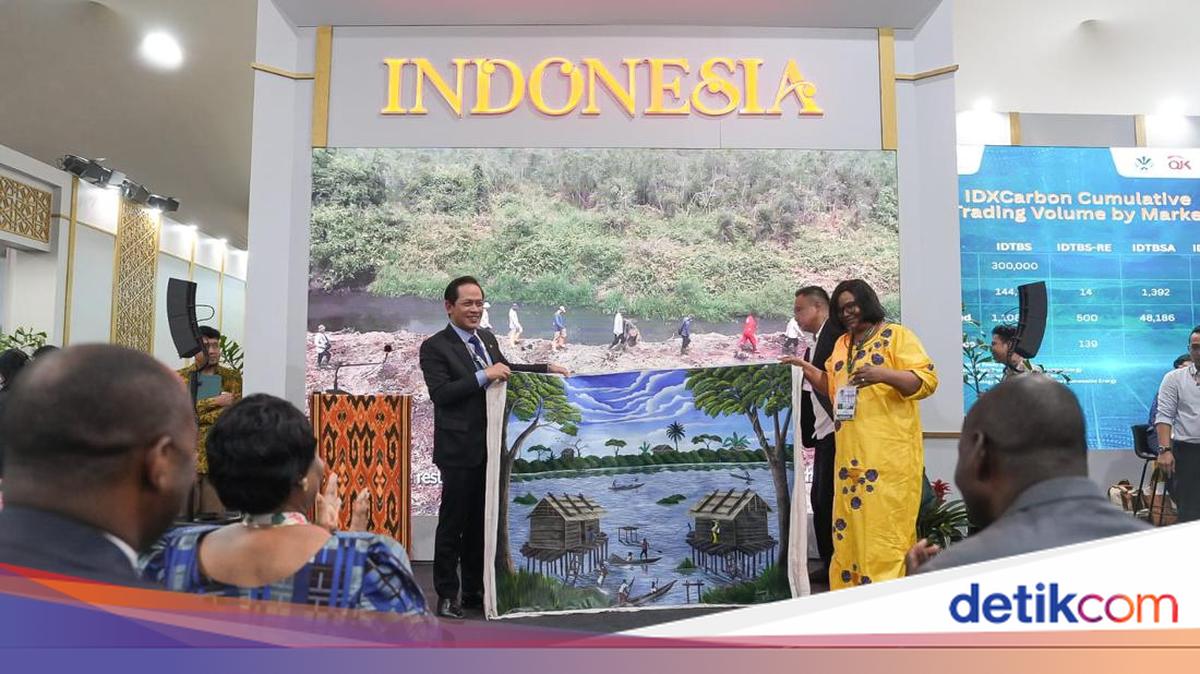 Indonesia-Kongo Ajak Seluruh Negara di COP30 Kelola Lahan Gambut