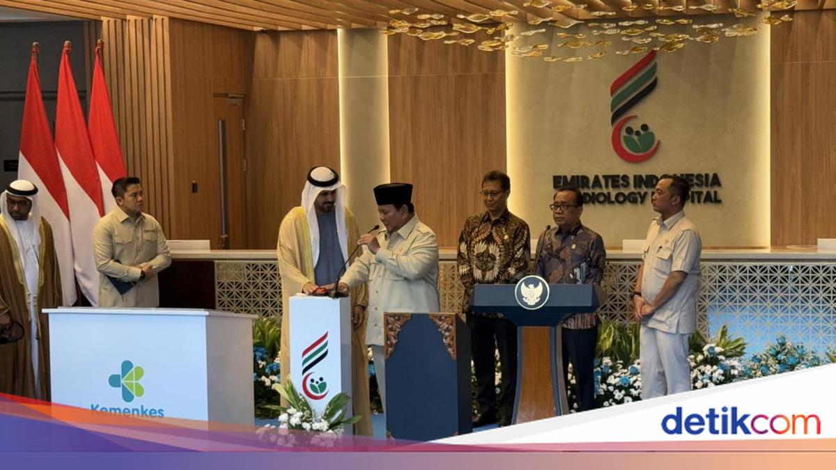 Prabowo Sampaikan Salam Hormat ke Presiden MBZ: Saudara Baik Indonesia
