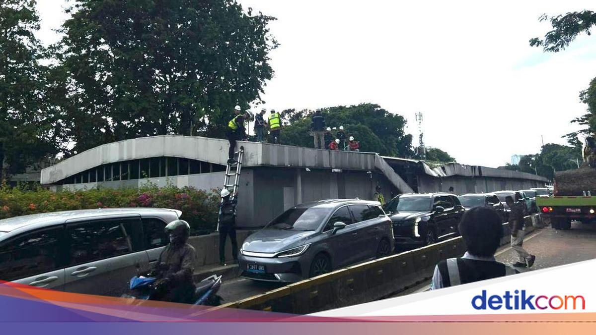 Pohon Tumbang di Senayan, Mobil dan Motor Diarahkan ke Jalur TransJ