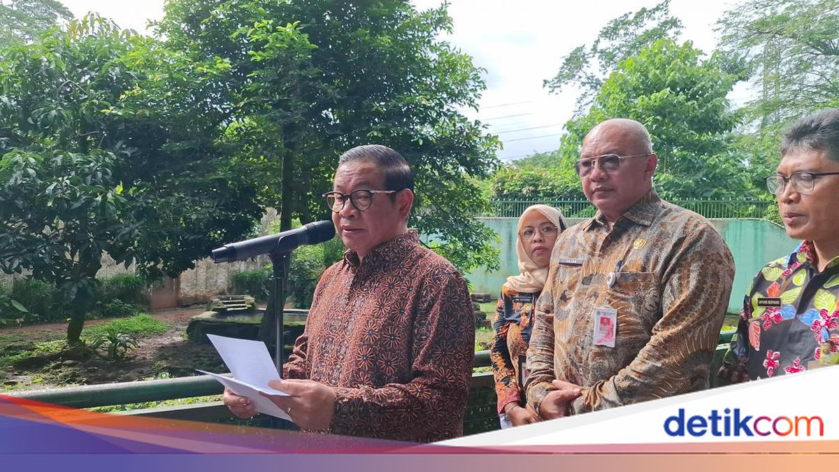 Pramono Cek Ragunan Usai Viral Harimau Kurus: 'Sri Deli' Sehat dan Gemuk