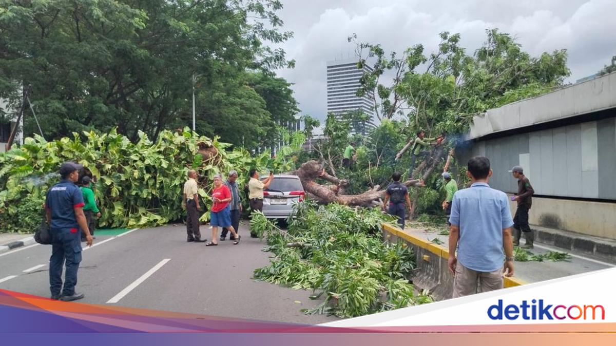 Penyebab MRT Jakarta Gangguan Hari Ini: Pohon Tumbang Bikin Listrik Padam