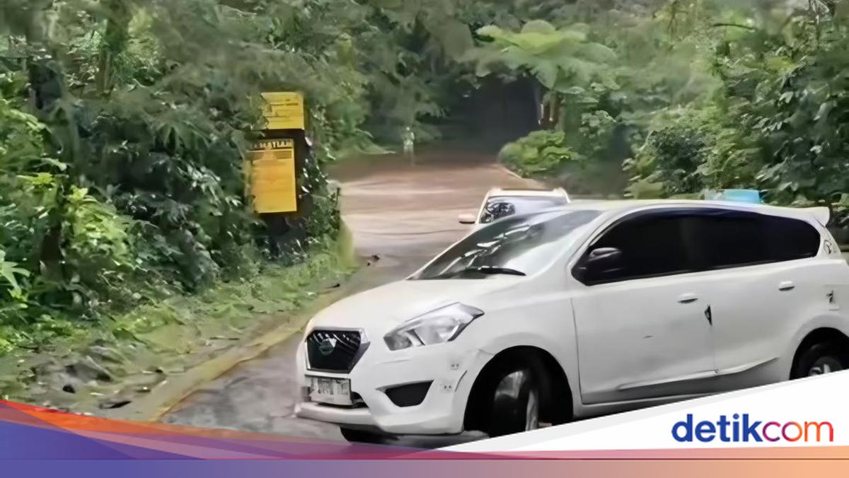 Taman Safari Sempat Banjir Selasa Kemarin, Pengelola Pastikan Satwa Aman