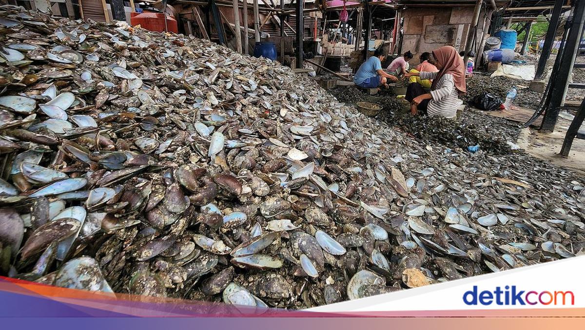 Kerang Hijau dan Liku Ekonomi Warga Muara Angke