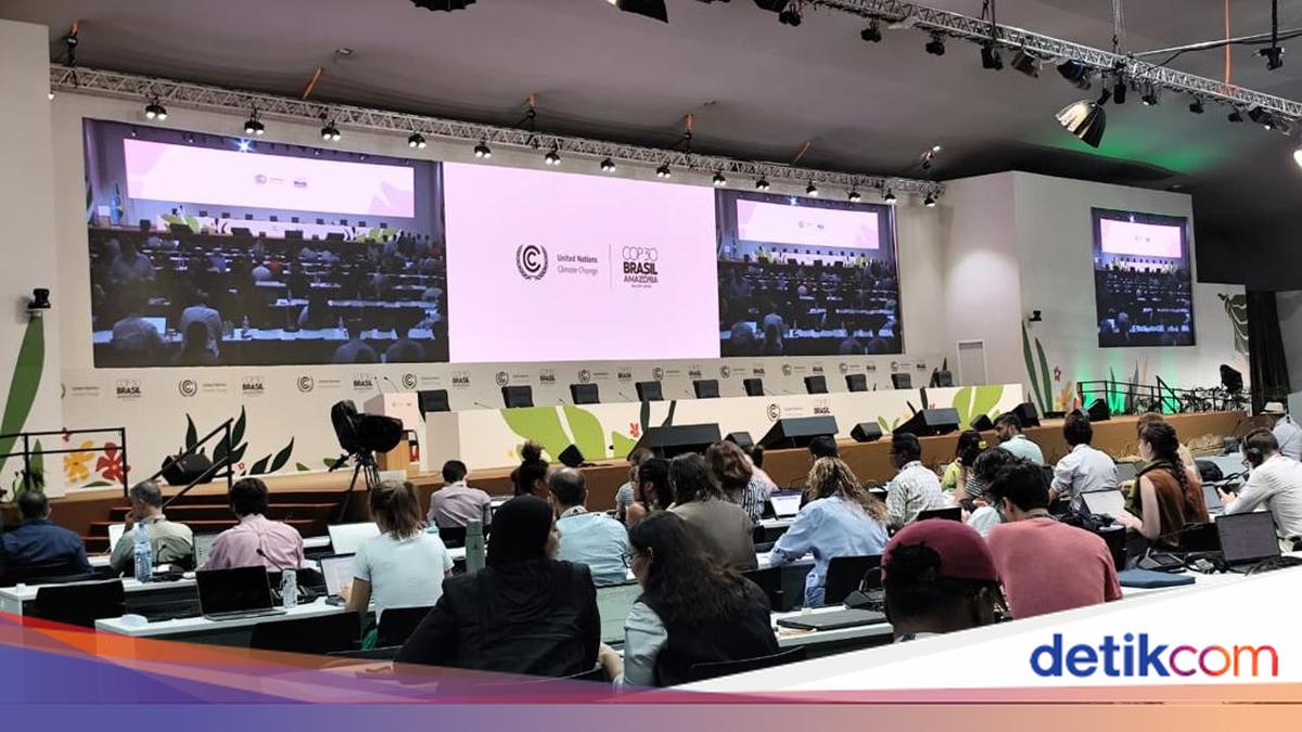 Di COP30 Brasil, Indonesia Komitmen Perkuat Ketahanan Iklim