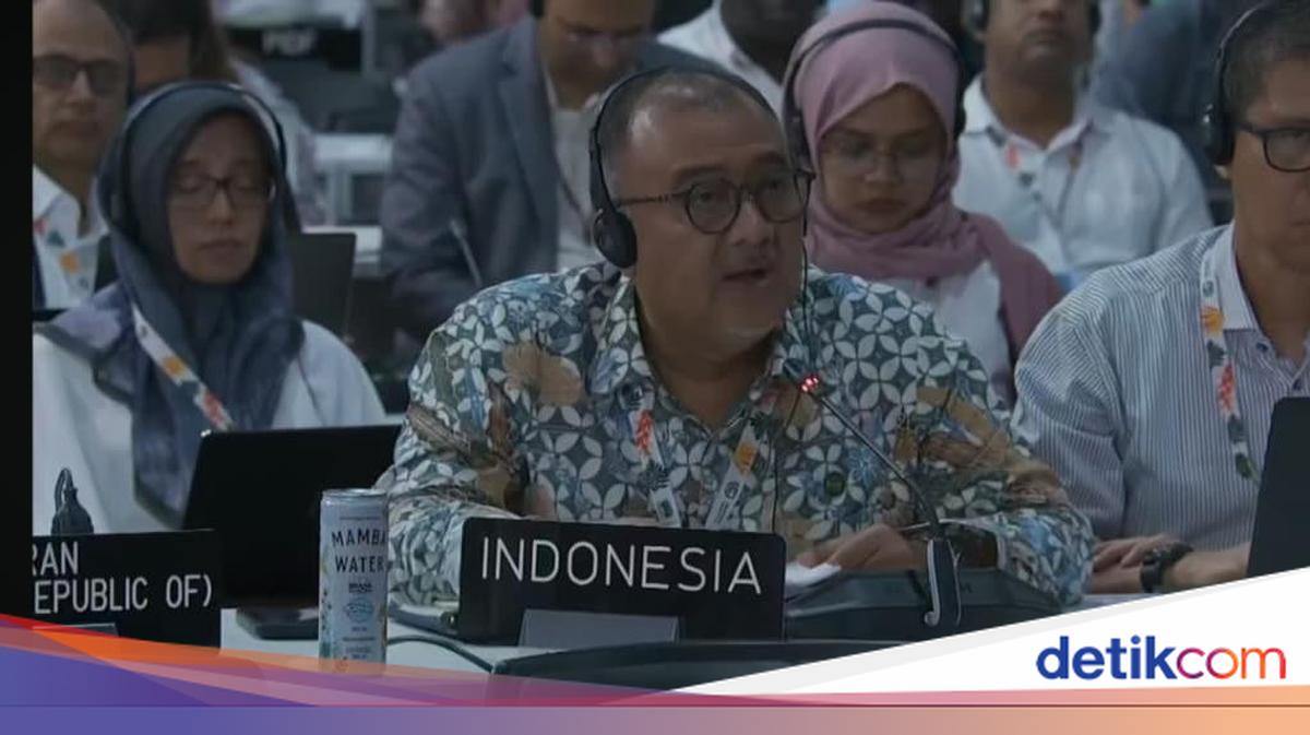 RI Sayangkan Usulan soal Istilah Gender Tak Diadopsi di COP30 Brasil