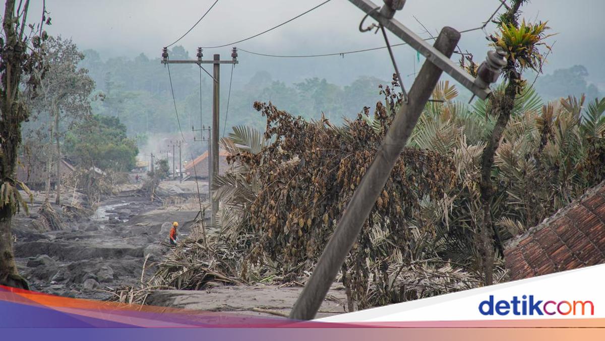 Dampak Erupsi Semeru: 3 Orang Luka Berat hingga 204 Hektare Lahan Rusak