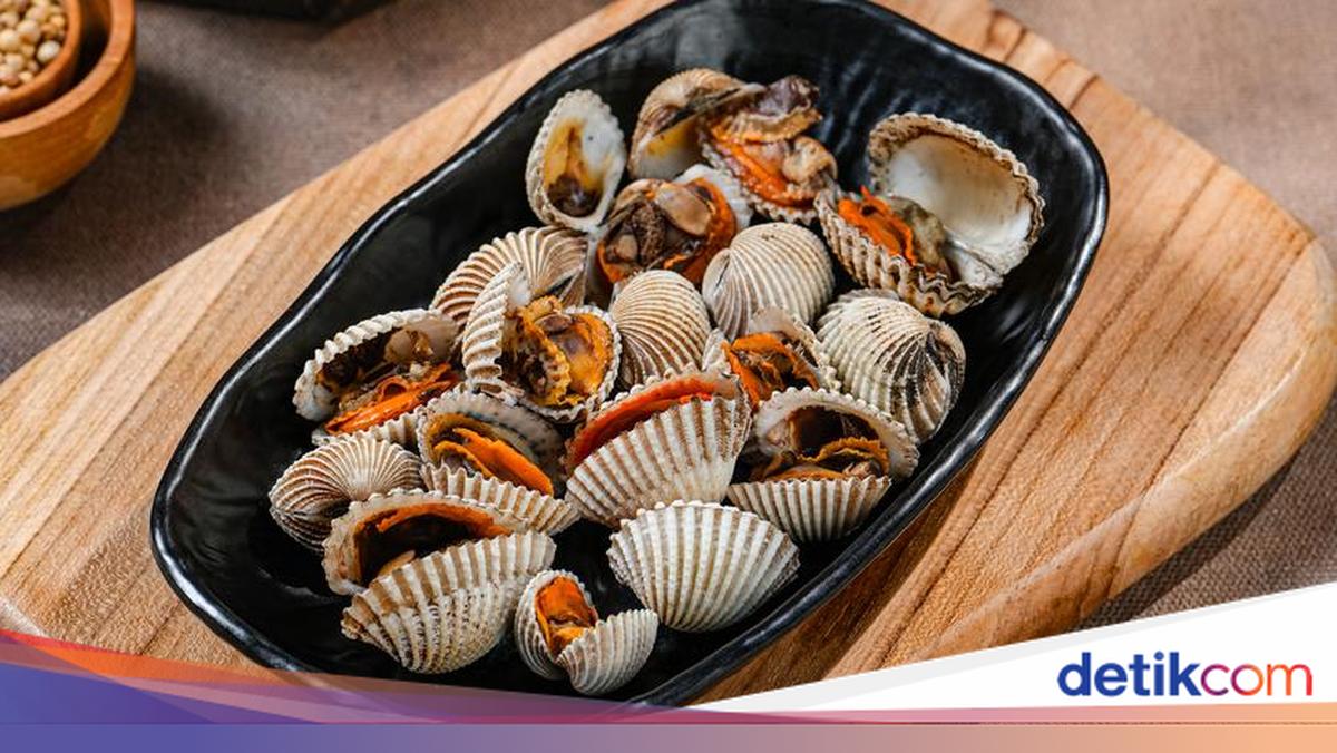 Praktis! Cara Merebus Kerang Dara agar Tak Amis dan Cangkang Terbuka
