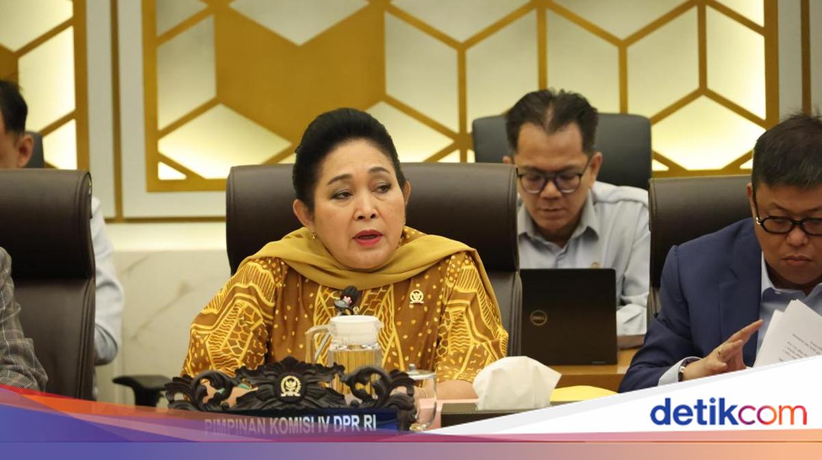Titiek Kritik Permenhut Diteken Saat Raja Juli Umrah: Kok Ceroboh Sekali
