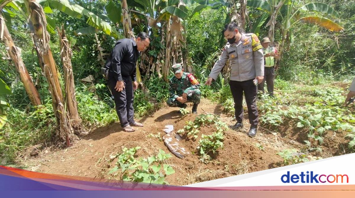 Geger Bangkai Anjing Berkafan di Bogor, Sempat Dikira Mayat Bocah