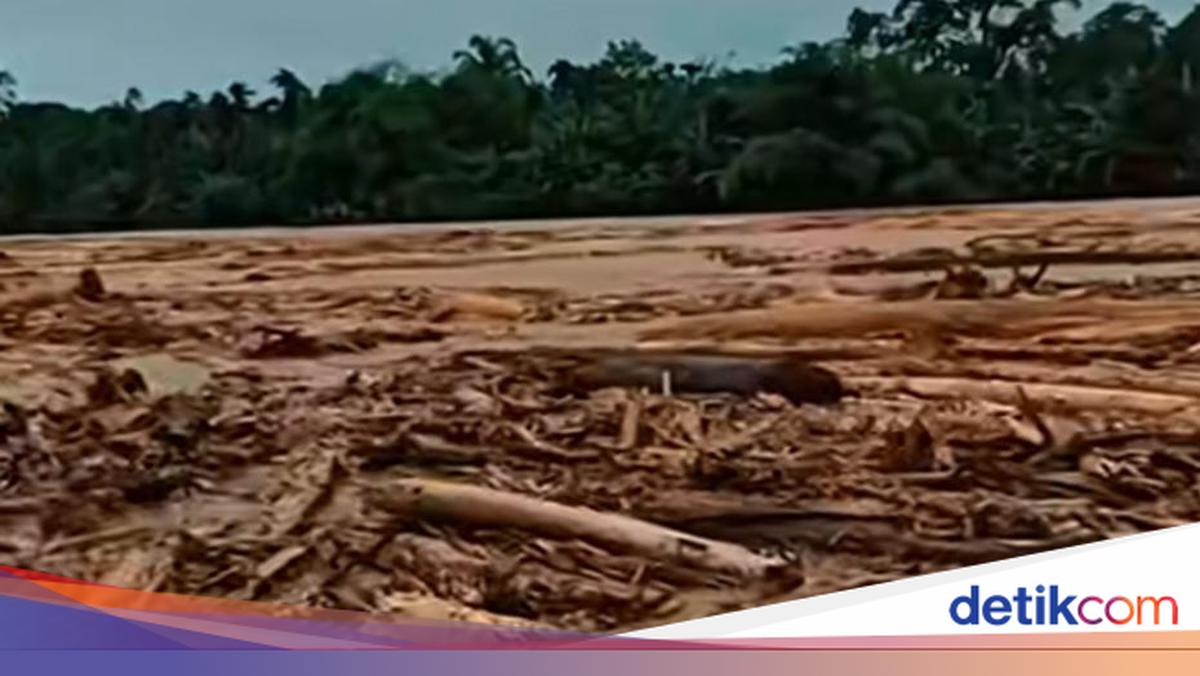 Komisi IV DPR Akan Bahas Kayu Gelondongan di Banjir Sumatera dengan Kemenhut