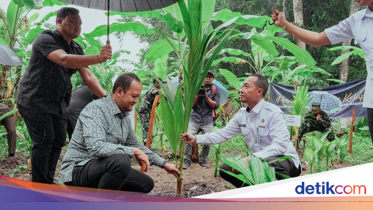 Pemkab Badung Dukung Program Ketahanan Pangan dan Penanaman Kelapa Nasional
