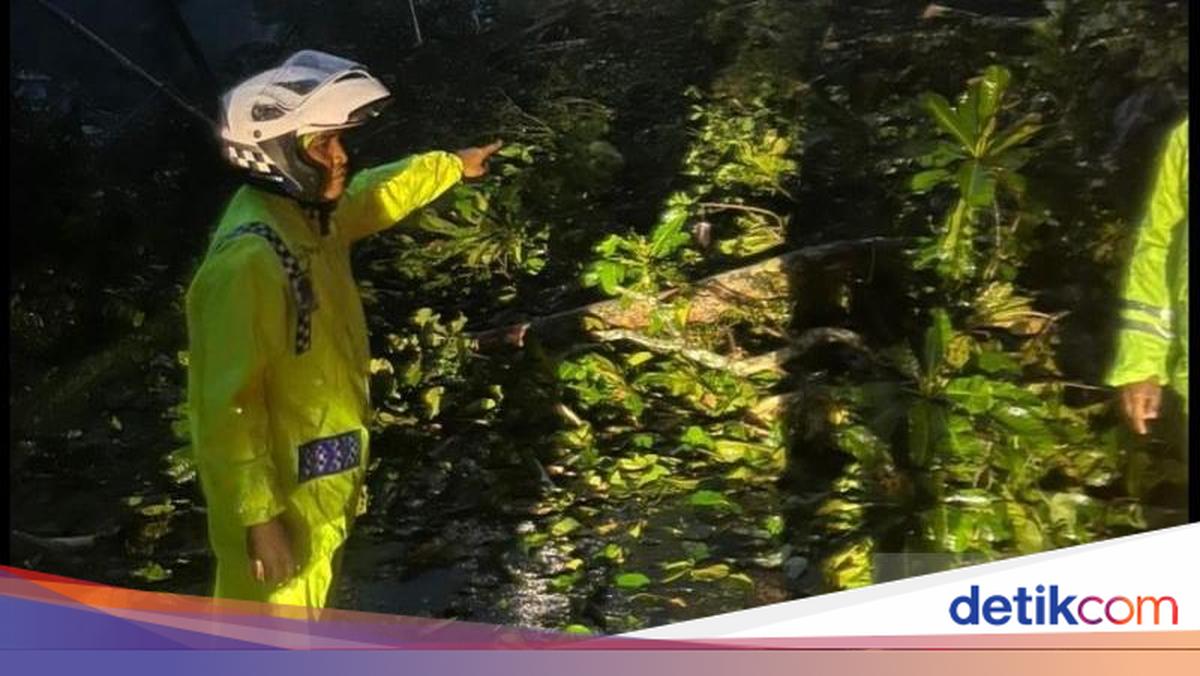 Longsor di Lembah Anai Sumbar, Akses Jalan Padang-Bukittinggi Terputus