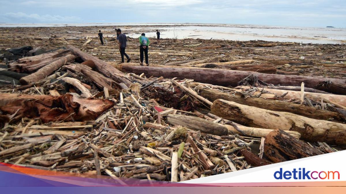 Potret Kayu Gelondongan Berserakan di Pantai Usai Banjir di Padang