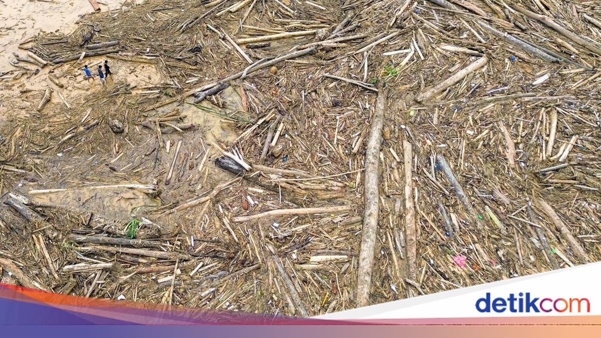 Satgas PKH Bakal Usut Gelondongan Kayu Hanyut-Menumpuk Saat Bencana Sumatera
