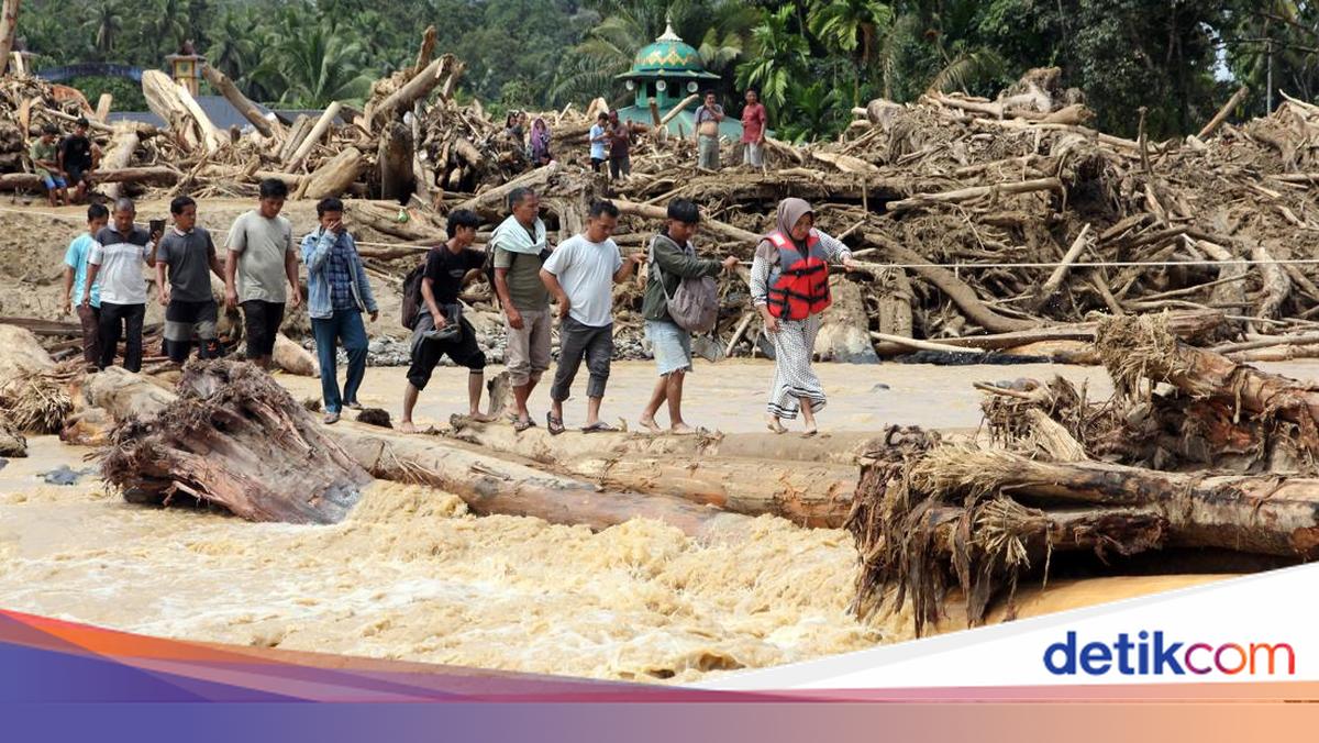 Banjir dan Longsor di Aceh-Sumbar Akibat Deforestasi Diprediksi ...