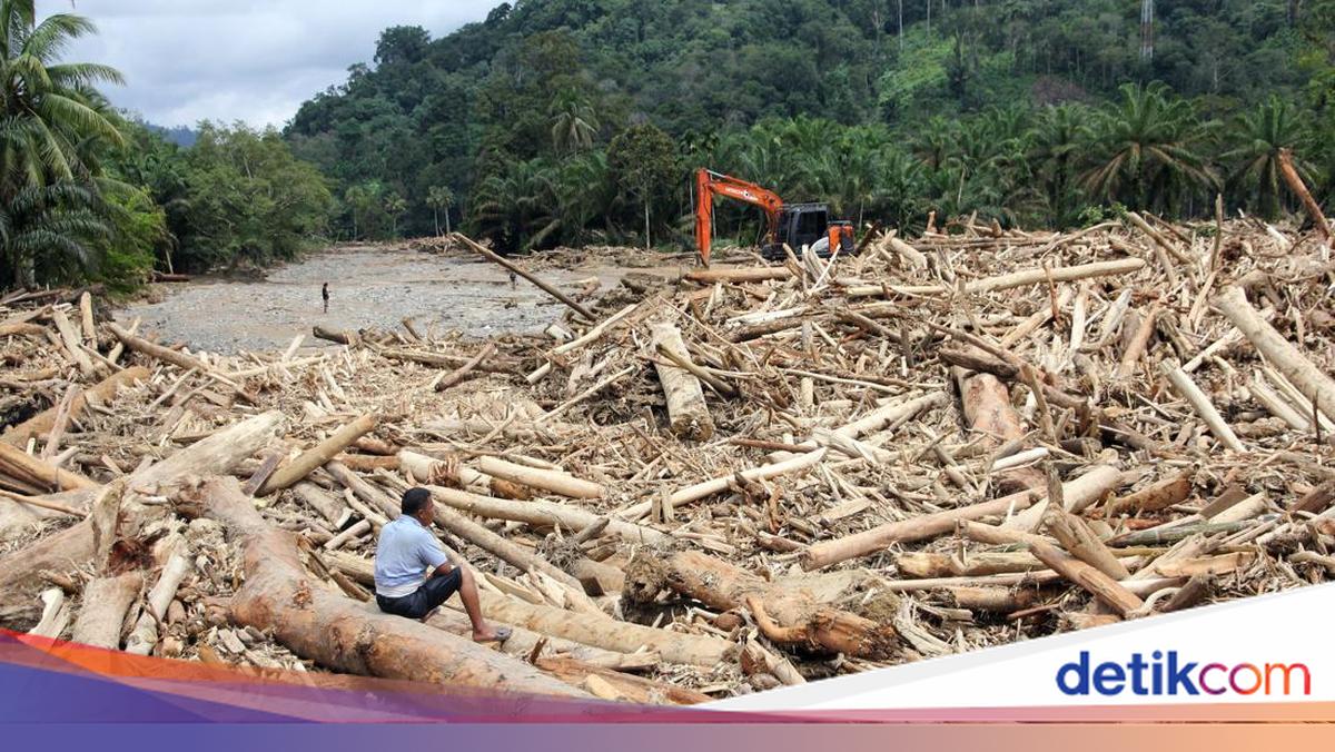 Komisi IV DPR Panggil Kemenhut 4 Desember Dalami 5 Hal soal Bencana Sumatera