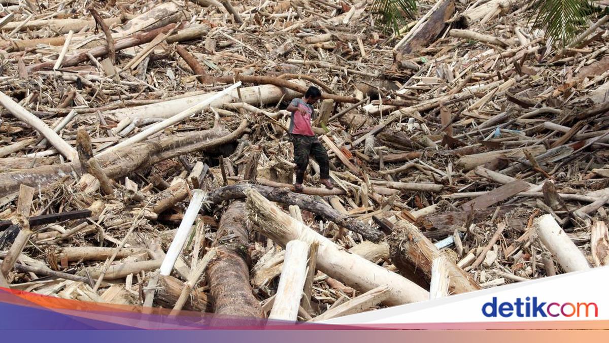 Teka-teki Gelondongan Kayu Terbawa Banjir di Sumatera