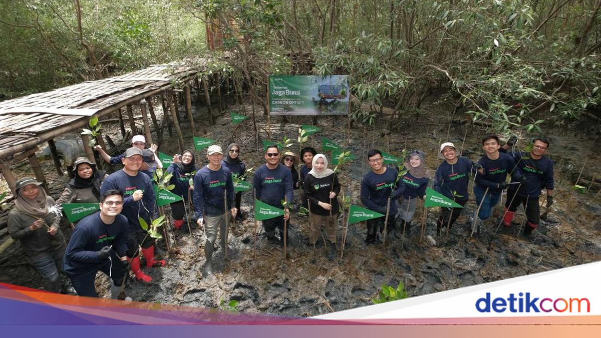 Kurangi Jejak Karbon, Telkomsel Tanam 12 Ribu Pohon di 8 Wilayah