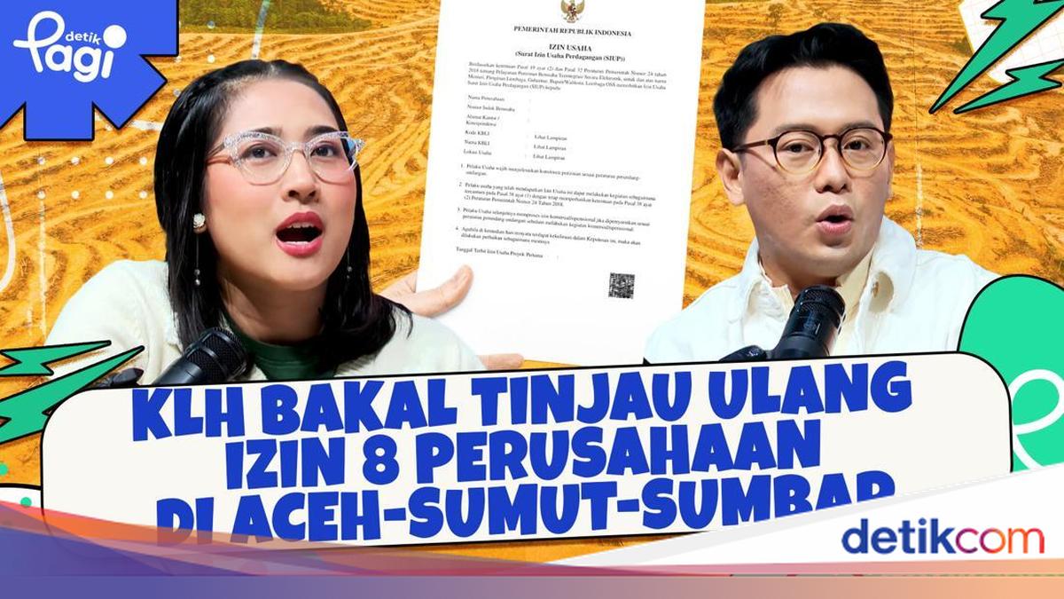 KLH Bakal Tinjau Ulang Izin 8 Perusahaan di Aceh-Sumut-Sumbar