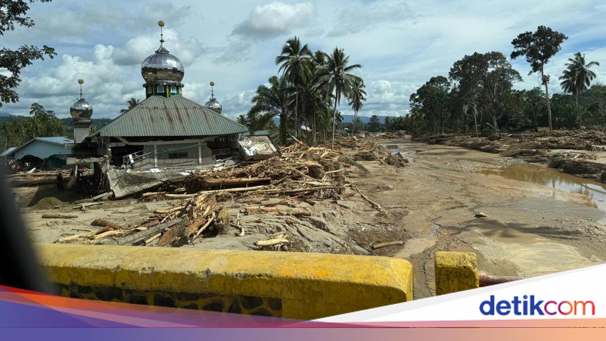 Menteri LH Beber Penyebab Batang Toru Tapsel Rusak Parah Usai Diterjang Banjir