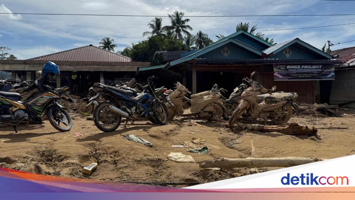 Menhut Ungkap 12 Perusahaan di Sumut Terindikasi Jadi Penyebab Banjir