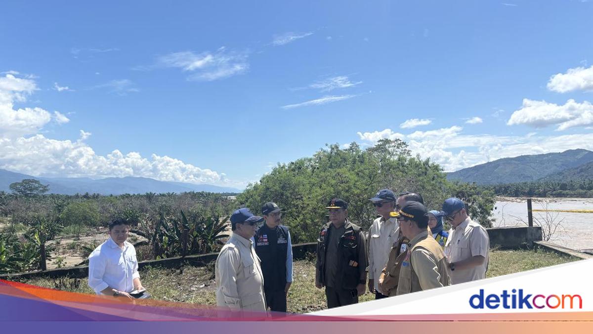 Prabowo Tinjau Jembatan Pantai Dona Aceh yang Terputus, Begini Kondisinya