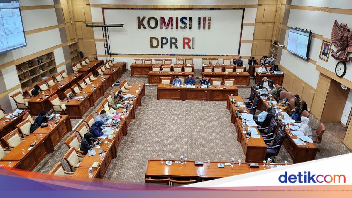 RUU Penyesuaian Pidana Atur Cabut Hak Keprofesian Lewat Putusan Pengadilan