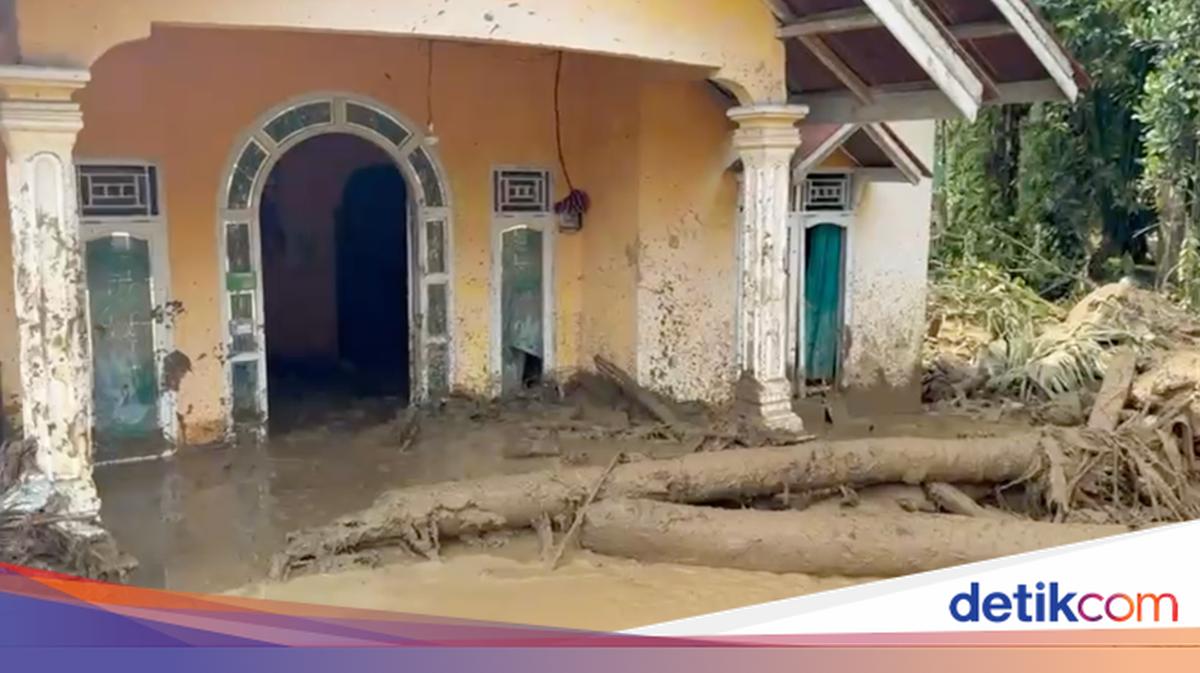 Walhi Kritik Gubernur Sumbar soal Bencana: Jangan Cuci Tangan