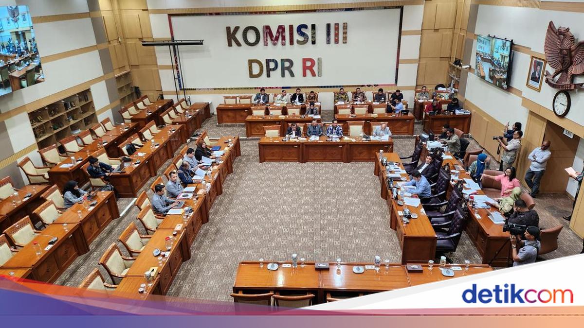 Panja Reformasi Kepolisian-Kejaksaan-Pengadilan Rapat Perdana, Undang Ahli