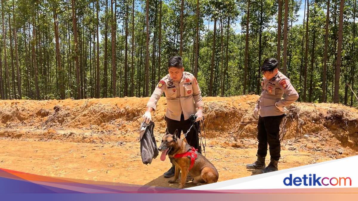 Reno, Anjing K-9 Polda Riau Gugur dalam Tugas Kemanusiaan di Agam