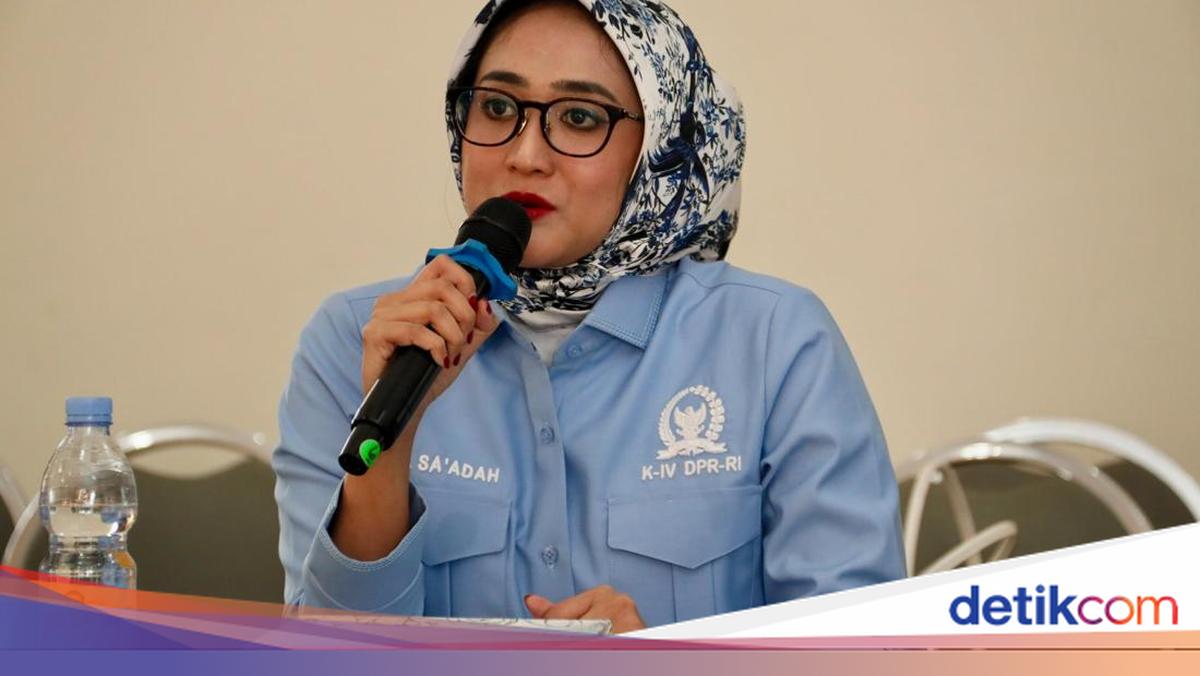 Komisi IV DPR Minta Pemerintah Evaluasi Skema Pemanfaatan Kawasan Hutan