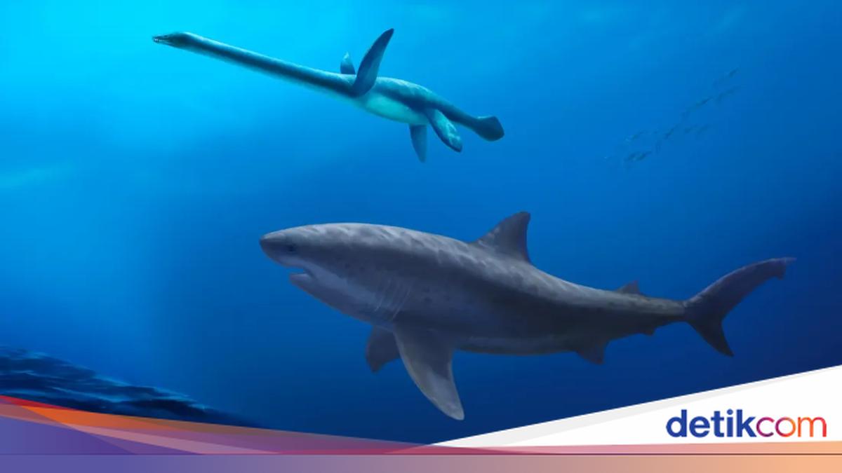 Ada Hiu Purba Paling Mengerikan Sepanjang Masa, Bukan Megalodon!