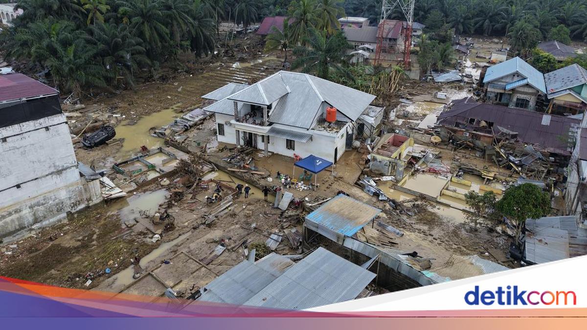 Kata BNPB soal Desakan Penetapan Status Bencana Nasional di Sumatera