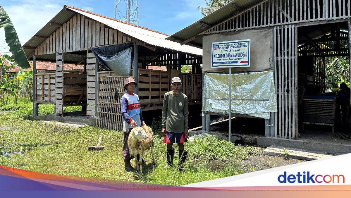 S2P Kembangkan Kelompok Ternak di Desa Karangkandri Jadi Lebih Modern