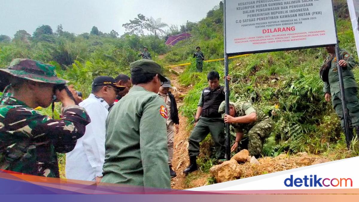 Aktivitas Tambang Emas di Halimun Salak Rugikan Negara Rp 304 M-Picu Bencana