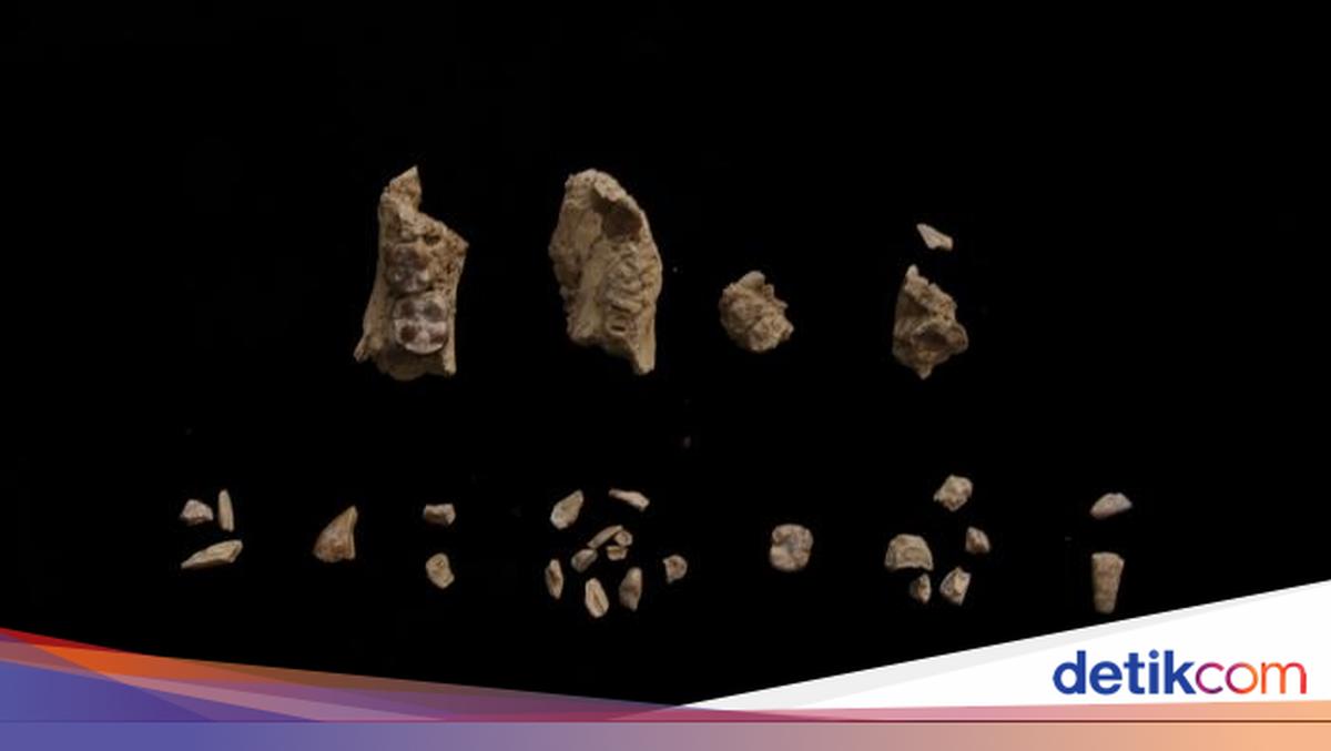 Ancient Humans Coexisted: New Research Reveals Two Types