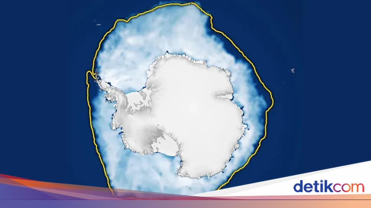 南極の氷が恐ろしいレベルまで減少していることを衛星が示す