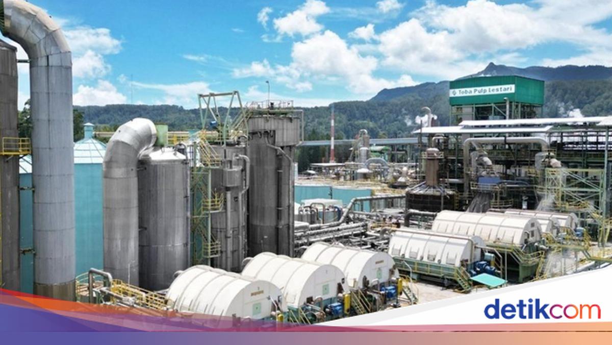 Api Toba Toba Pulp Lestari Belum Terima Pencabutan Izin Usaha dari Prabowo