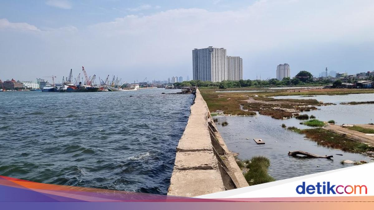 Tanggul Muara Baru Jakut yang Bocor Ditambal Karung Pasir, Begini Kondisinya