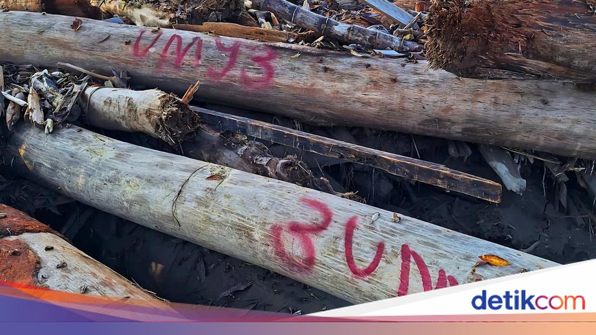 Cerita Relawan soal Gelondongan Kayu Bernomor di Lokasi Banjir Aceh