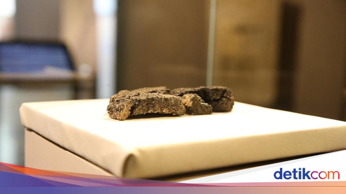 Wow! Penemuan Roti 5.000 Tahun Ini Ungkap Pola Makan Manusia Purba