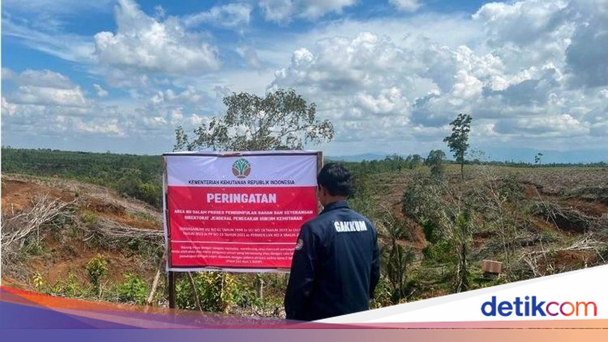 5 Lokasi Pembalakan Liar yang Diduga Picu Banjir Sumatera Disegel!