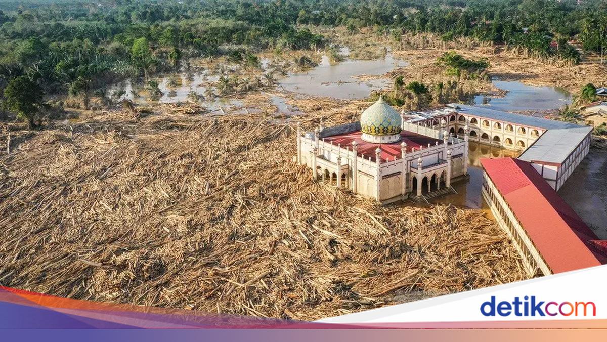 Kondisi Miris Aceh Tamiang Usai Bencana dalam Sorotan