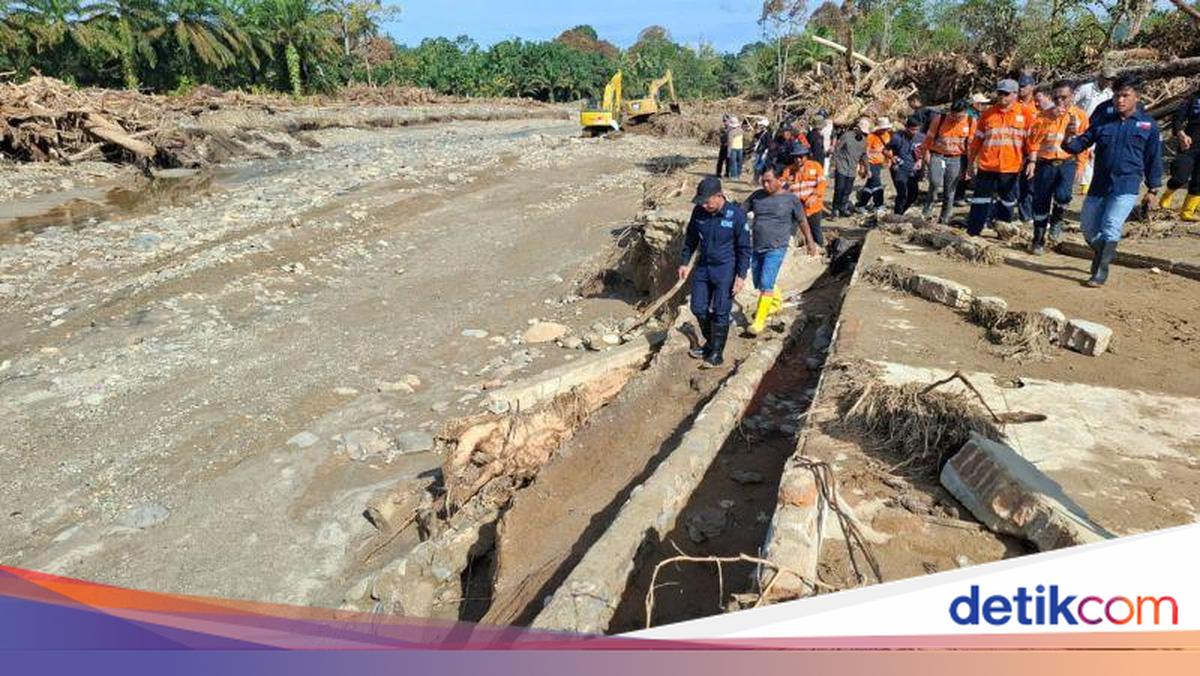 Menteri LH: Kayu Gelondongan Banjir Sumatera Bukan dari Hulu Batang Toru