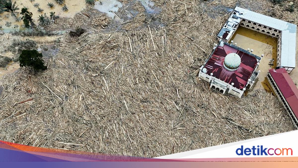Kisah Perjuangan Korban Banjir-Longsor Sumatera Bertahan Hidup