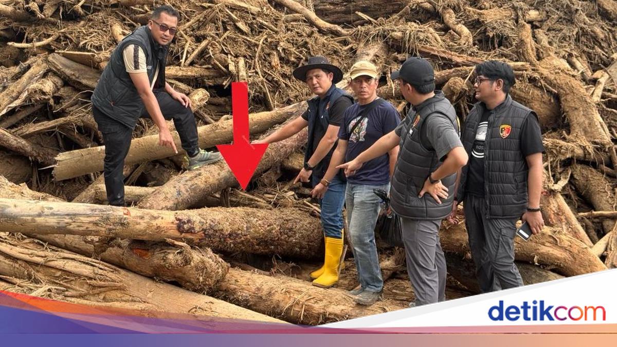 Bareskrim Ambil 27 Sampel Kayu di Garoga: Ada Hasil Gergaji-Dicabut Alat Berat