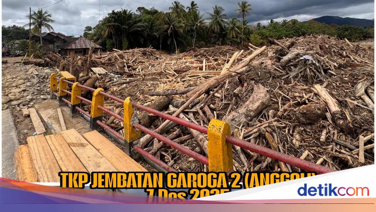 Kasus Gelondongan Kayu Terbawa Banjir di Garoga-Anggoli Naik Penyidikan!