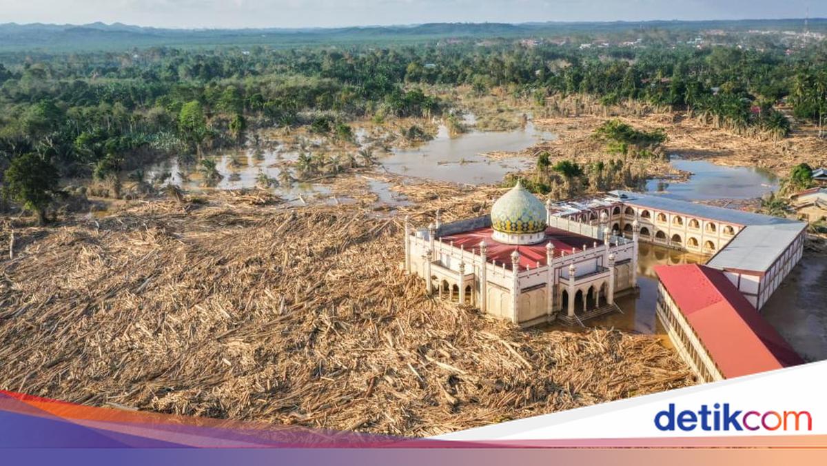 Bareskrim Ungkap Ada Aktivitas Illegal Logging di Hulu Sungai Tamiang Aceh