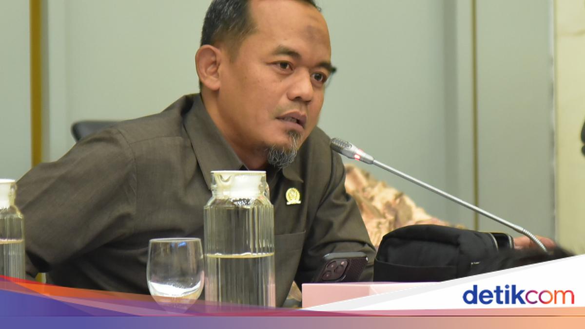 Anggota DPR Minta Menhut Segera Ungkap Sindikat Illegal Logging