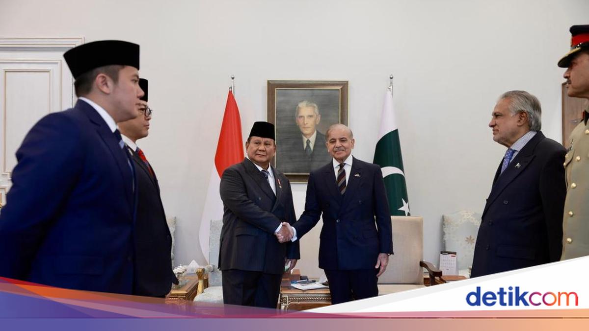 Bertemu PM Pakistan, Prabowo Serukan Two-State Solution Kemerdekaan Palestina